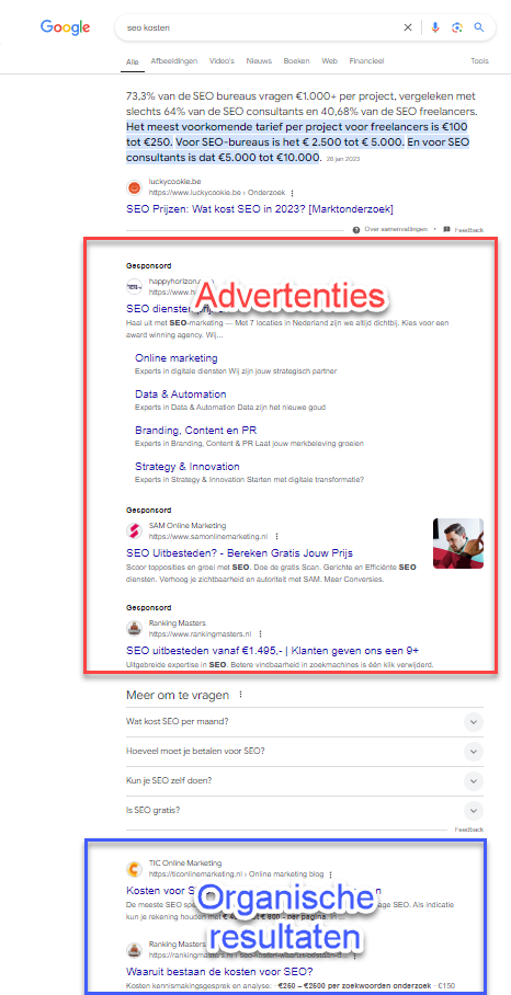 Voorbeeld van een Search Engine Results Page