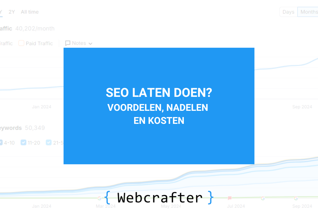voordelen nadelen en kosten van seo laten doen
